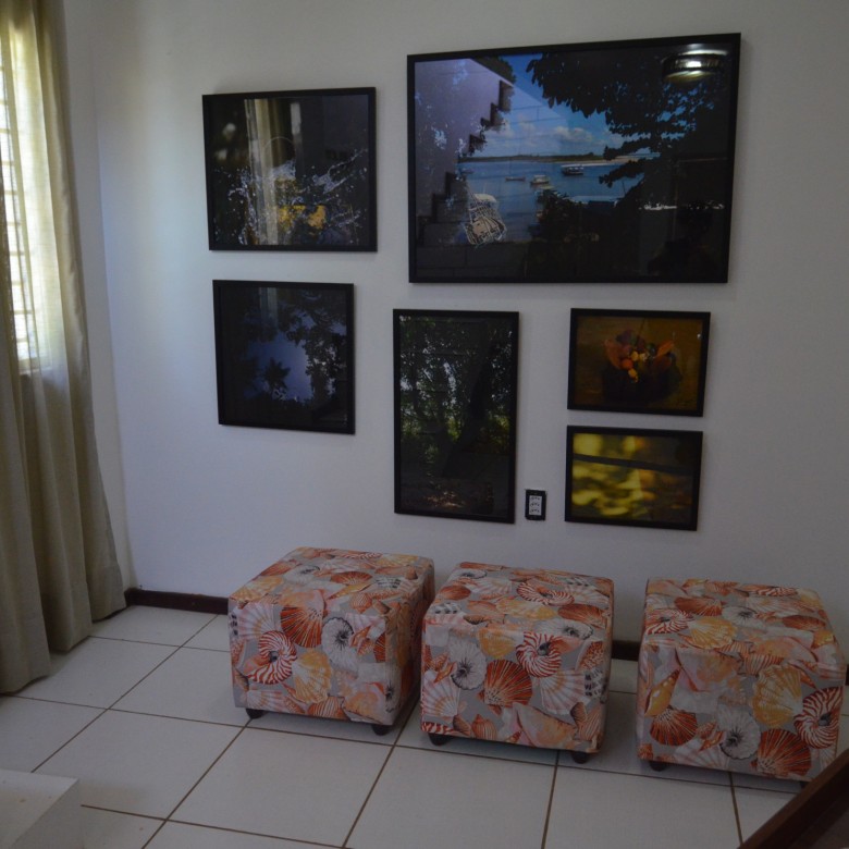 DSC_0849 (2)
