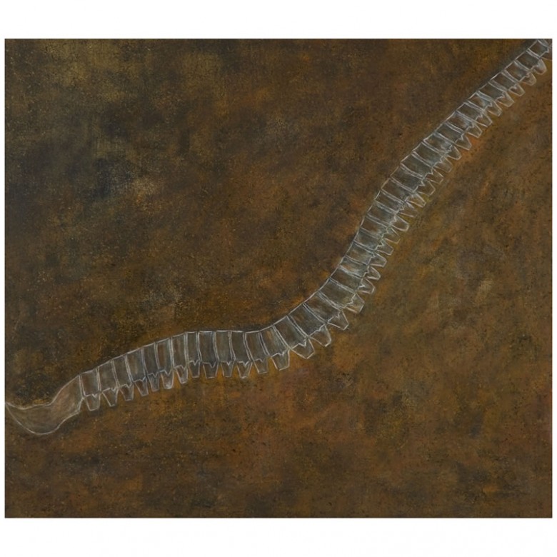 Série Ossos – Coluna – 85x75 cm.