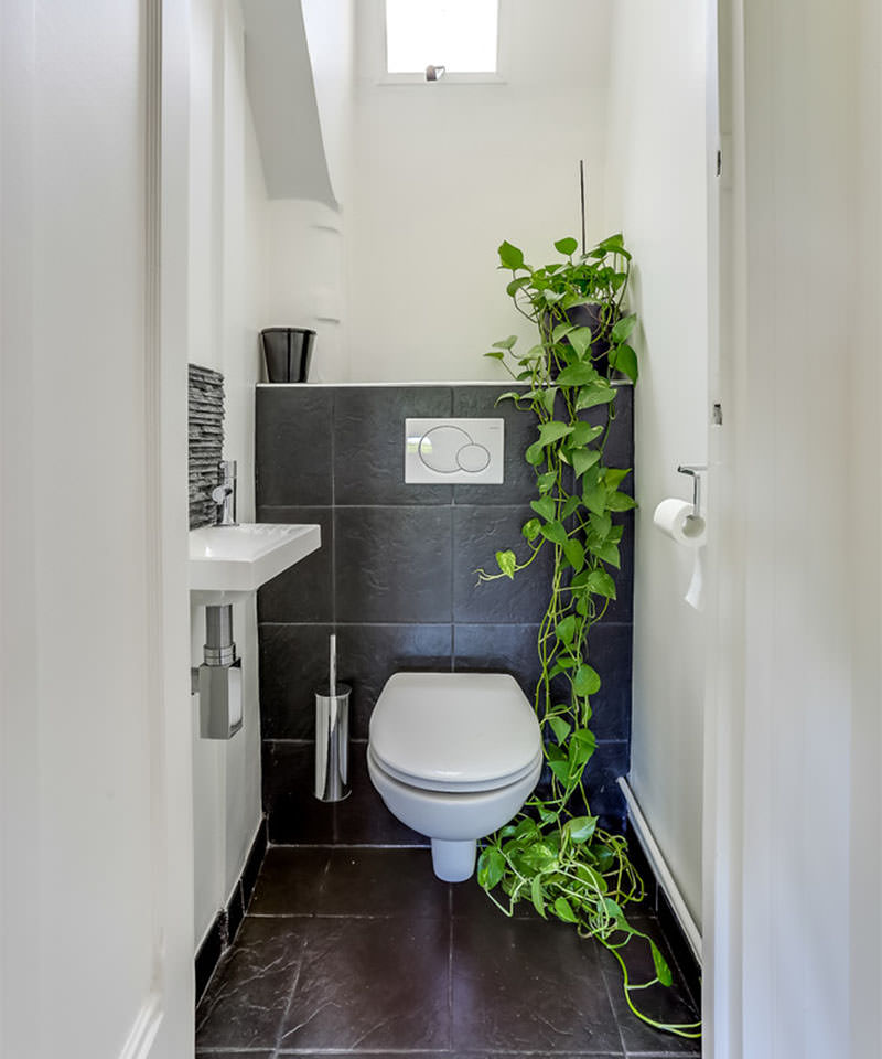 22-banheiro-vaso-planta-jiboia