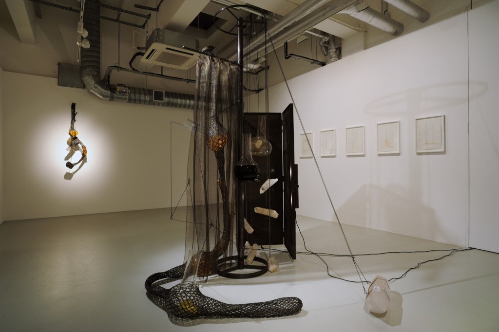 Tunga-Magma-Installation-view-6