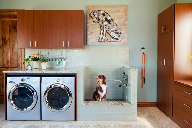 2-dog-shower-lavanderia-rustica